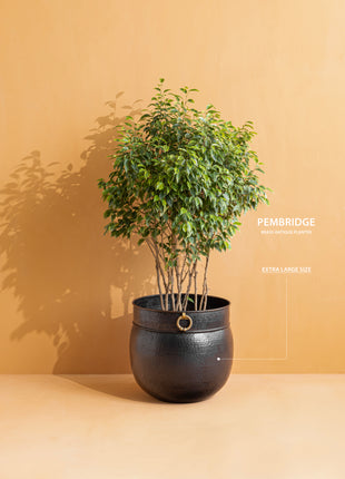Pembridge (Extra Large) Hammered Brass Planter