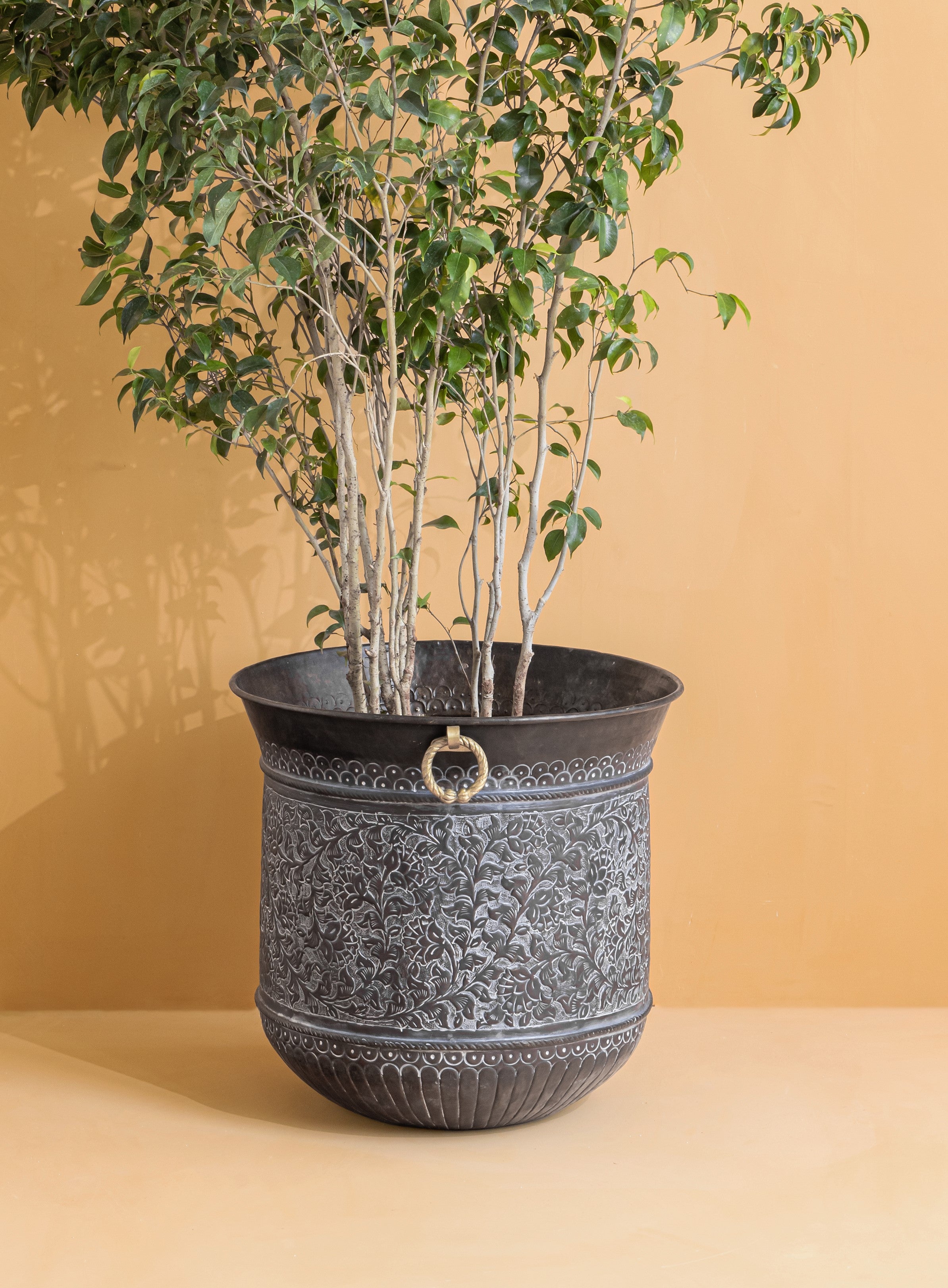 extra large indoor plant pots uk Black Forest (Extra Large) Engraved Tall Brass Planter – Artisanale London