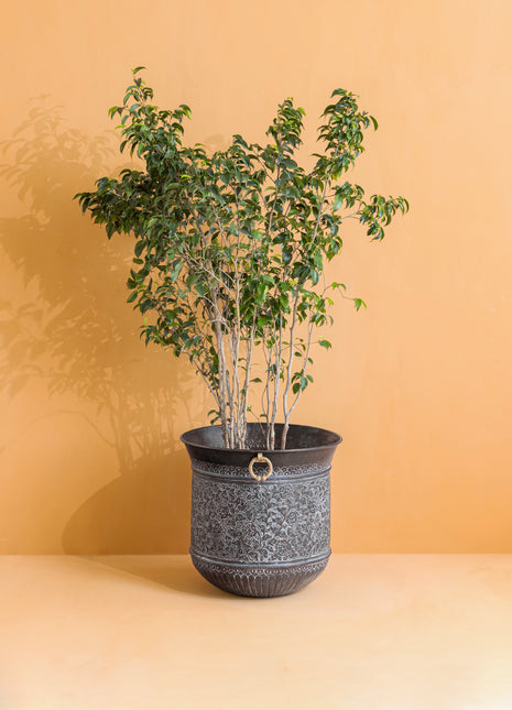 Engraved Tall Brass Planter 46cm - Magnificent Centerpiece - Brass Metal - Vintage - Distressed Indoor Planters