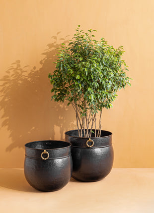 Pembridge (Extra Large) Hammered Brass Planter